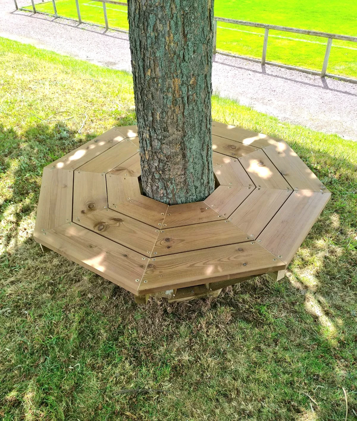 Photographie de la réalisation : Un banc autour d’un arbre.
