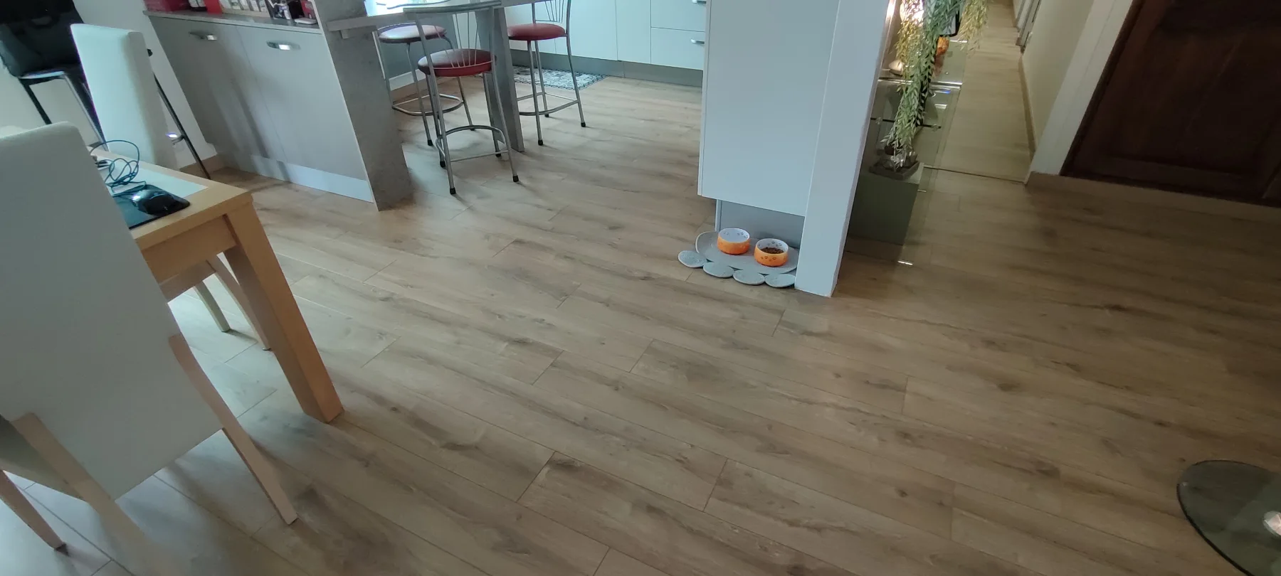 Photographie de la réalisation : Parquet flottant dans la maison.